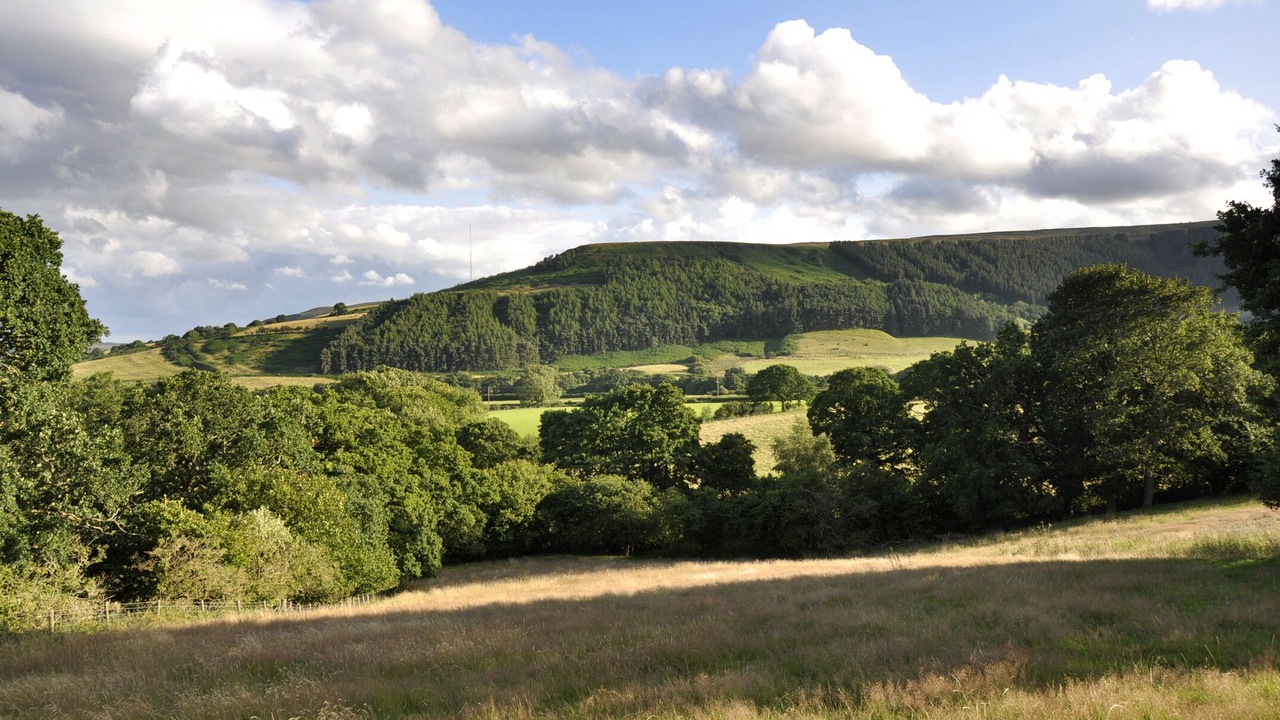 Photo of Others in Chop Gate
