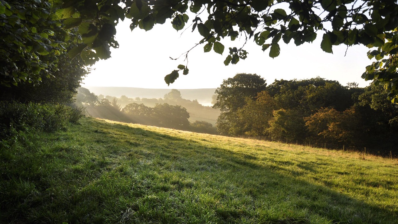 Photo of Others in Chop Gate
