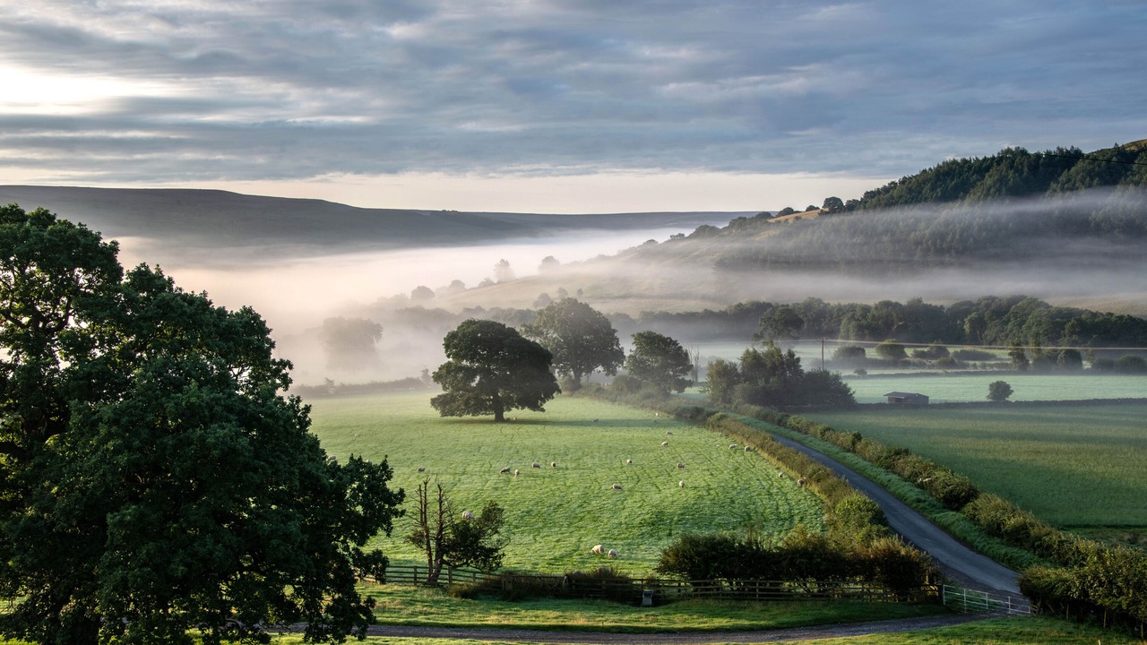 Photo of Others in Chop Gate