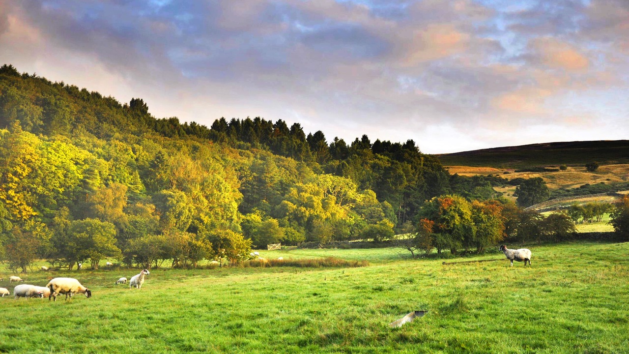 Photo of Others in Chop Gate