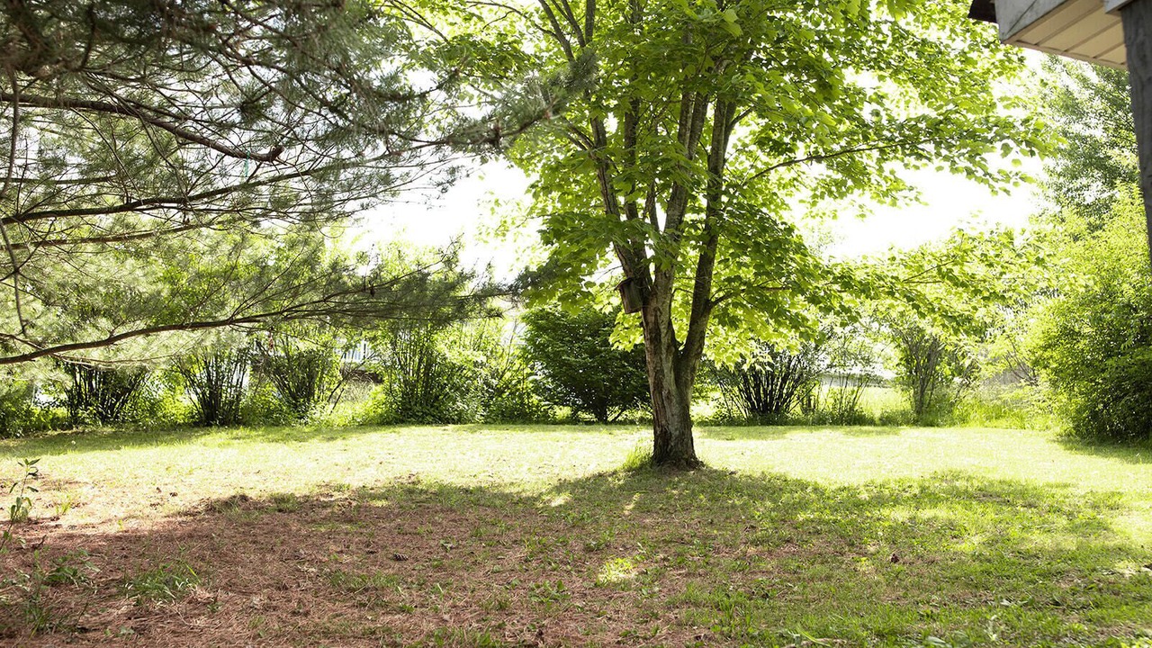 Photo of Outdoor in Treloar