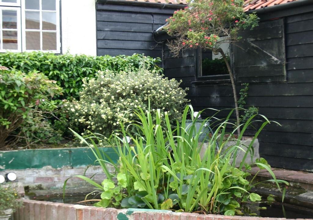 Photo of Outdoor in Dunmow