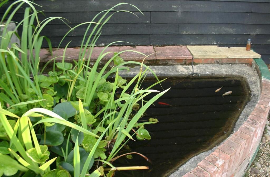 Photo of Outdoor in Dunmow