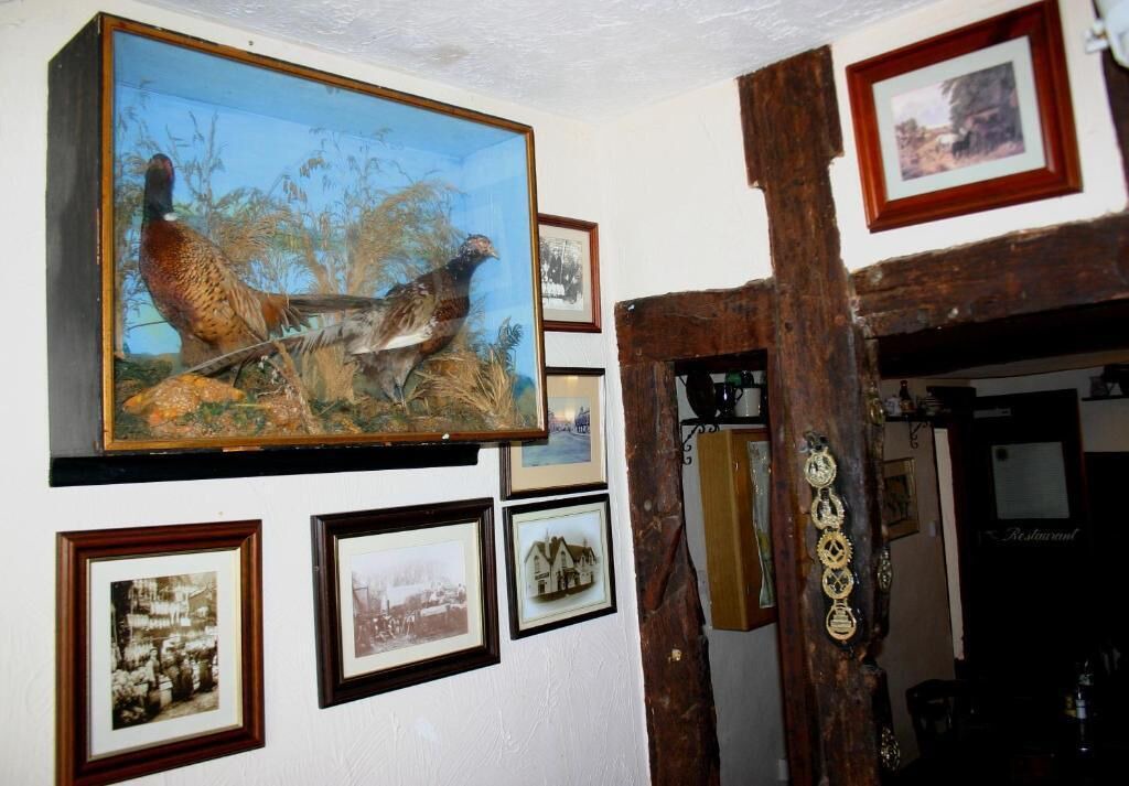 Photo of Others in Dunmow