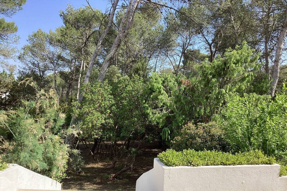 Photo of Outdoor in Garrigues