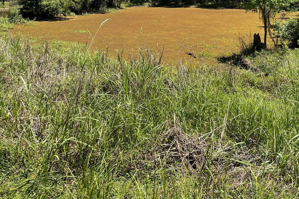 Photo of Outdoor in Gainesville