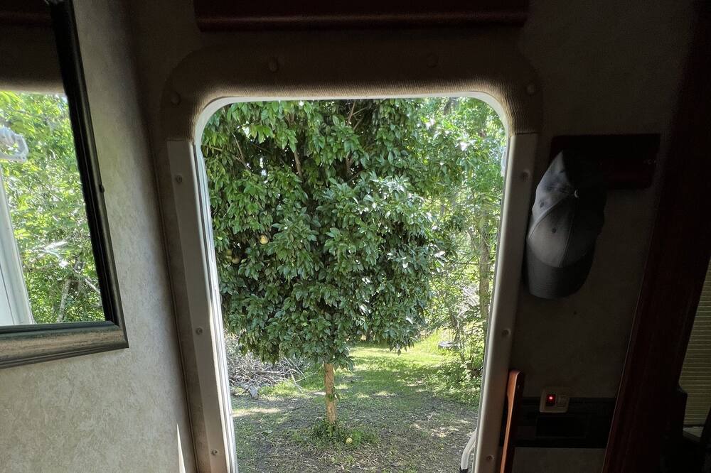 Photo of Others in Gainesville