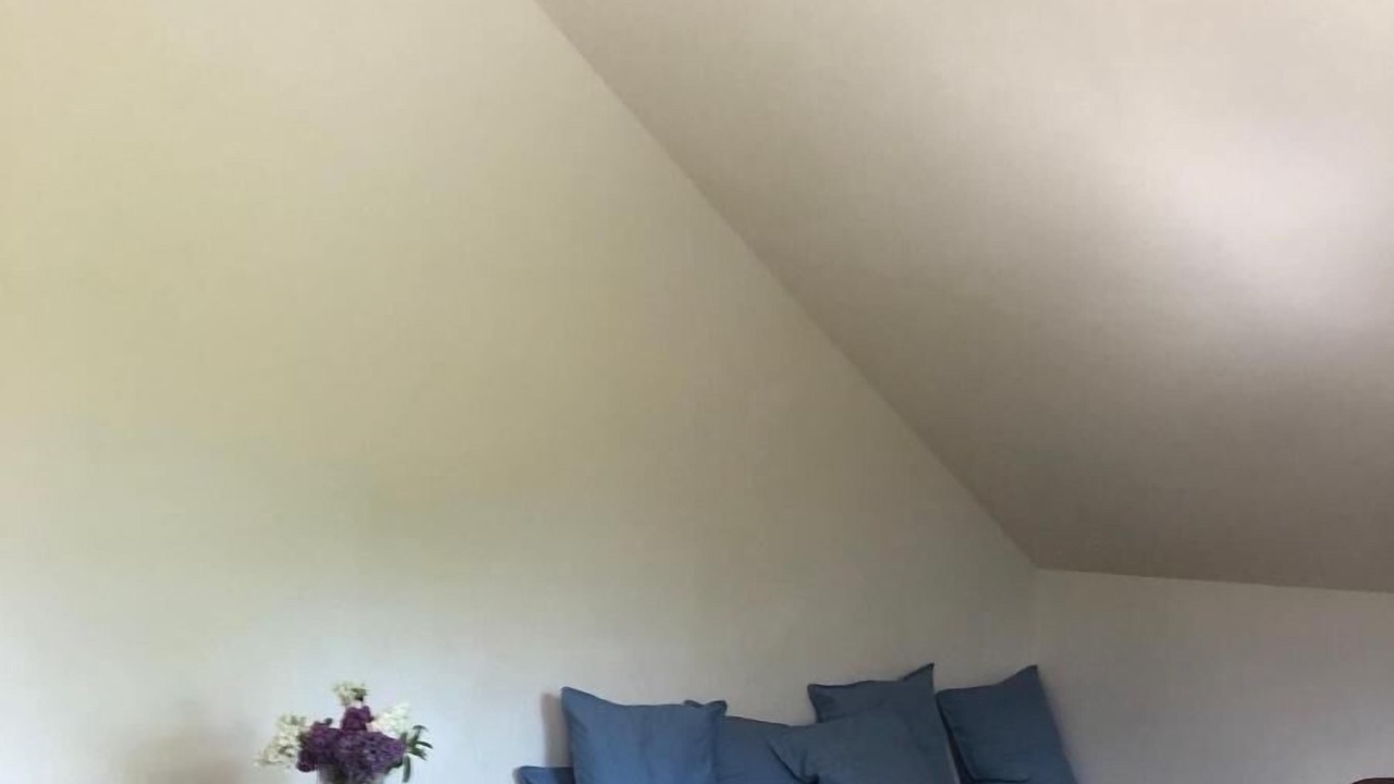 Photo of Others in Saint-Brieuc-des-Iffs