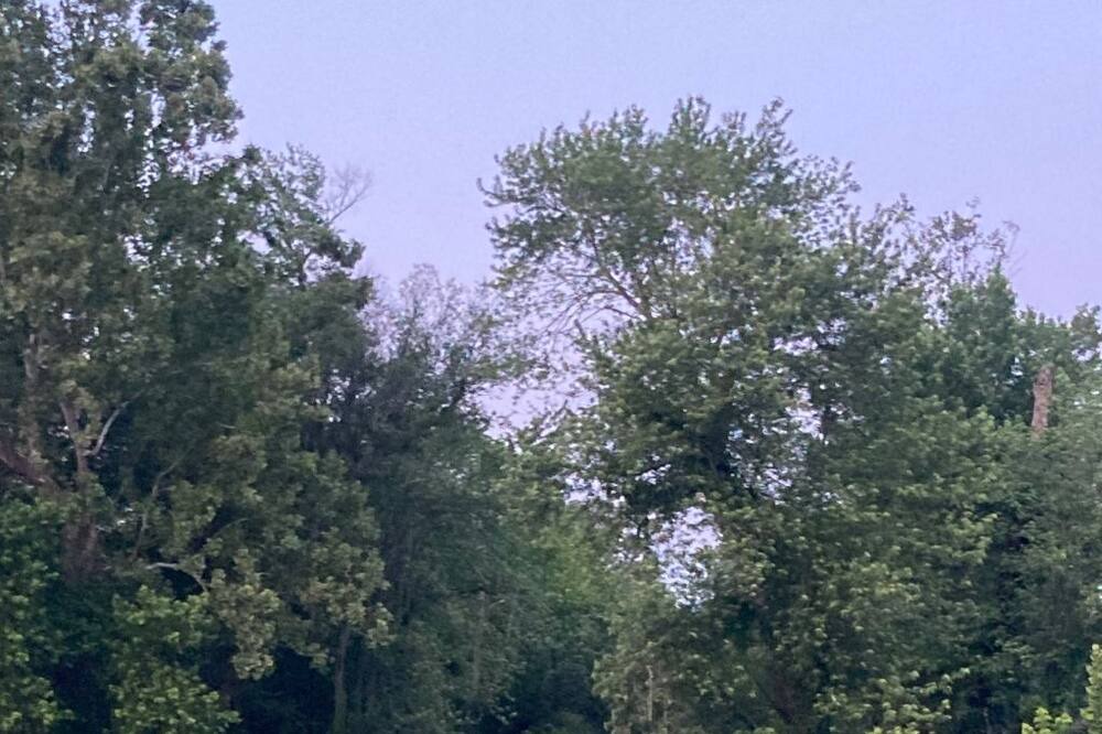 Photo of Others in Kansas