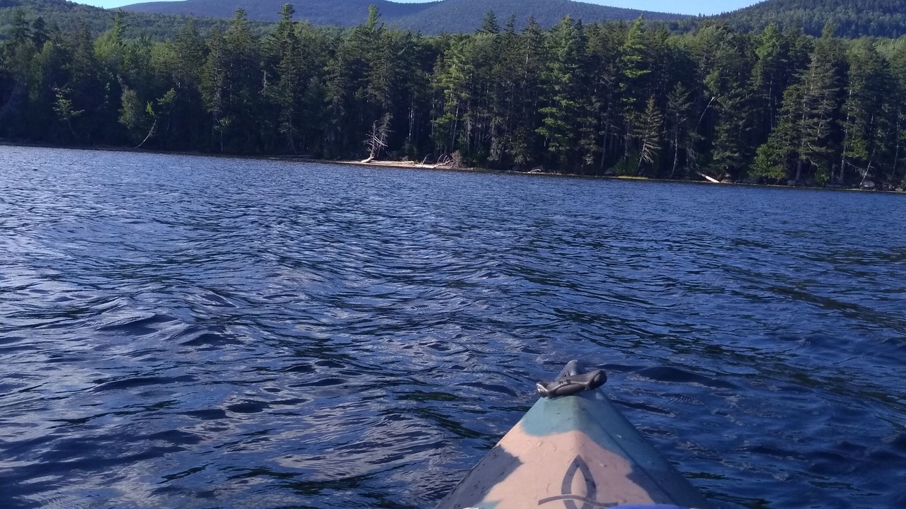 Photo of Others in Stark