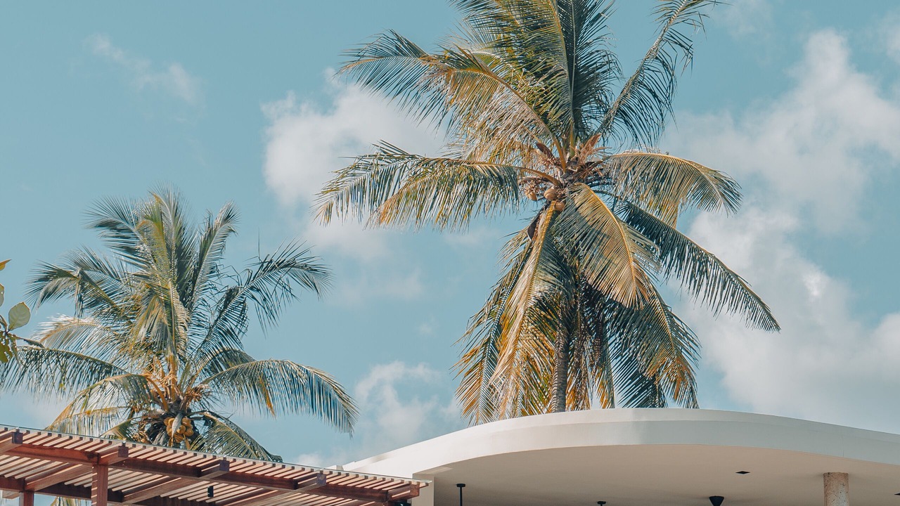 Photo of Outdoor in Selong Belanak