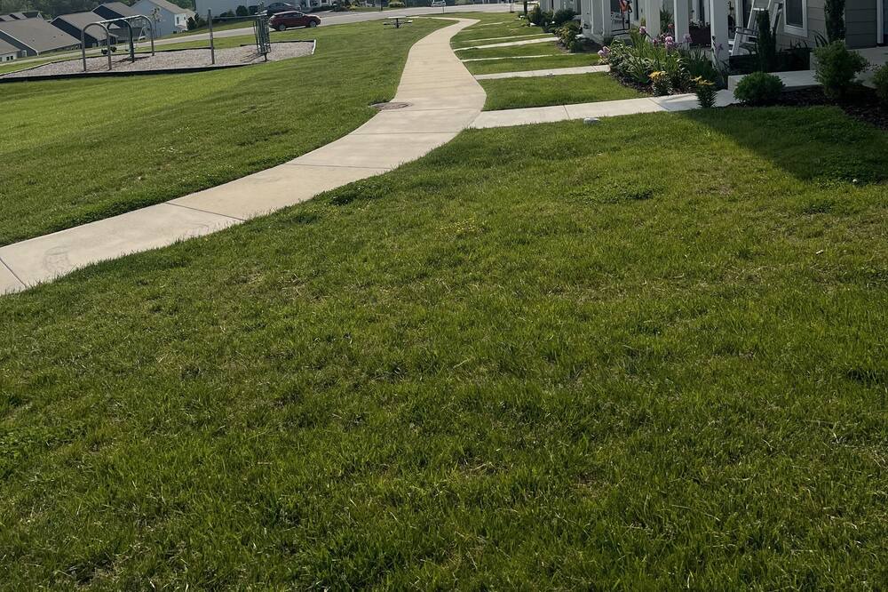 Photo of Others in Christiansburg