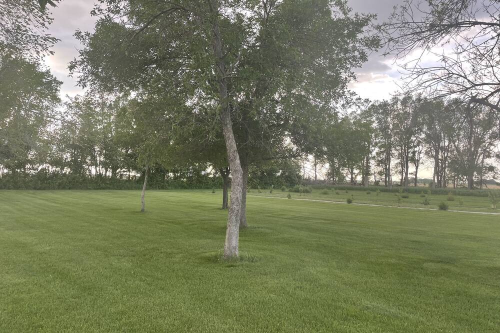 Photo of Others in Faulkton