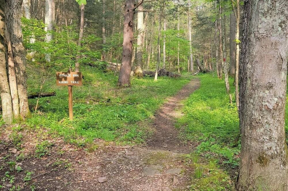 Photo of Others in Swanton