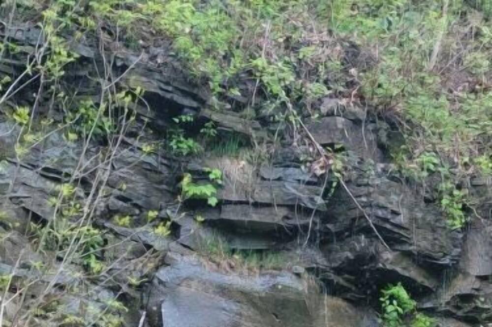 Photo of Others in Swanton