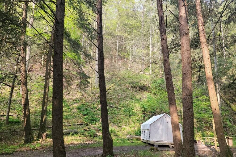 Photo of Others in Swanton