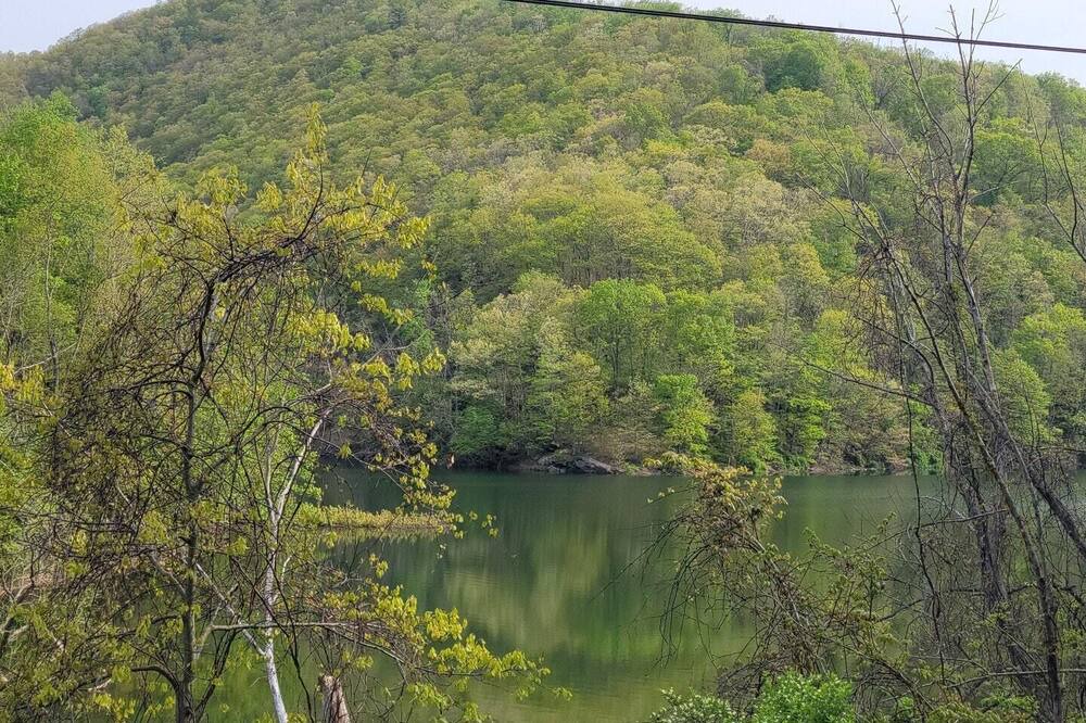 Photo of Others in Swanton