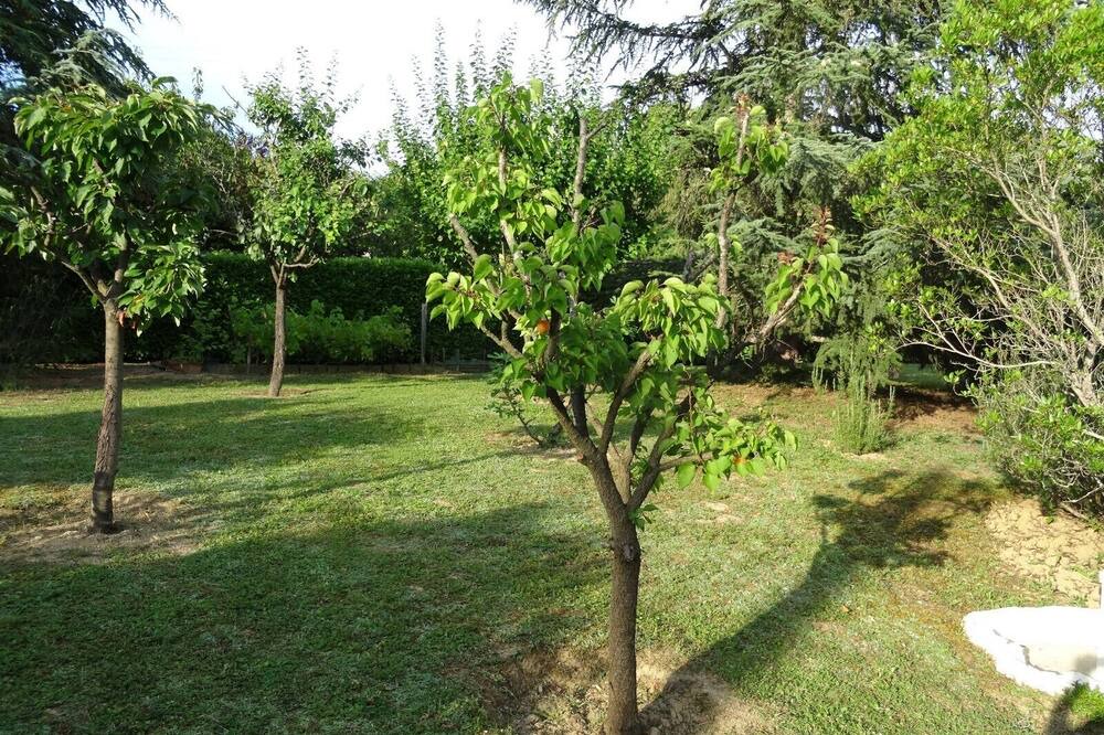 Photo of Outdoor in Pavie