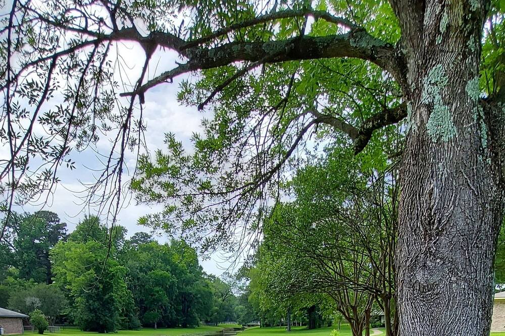 Photo of Others in Shreveport