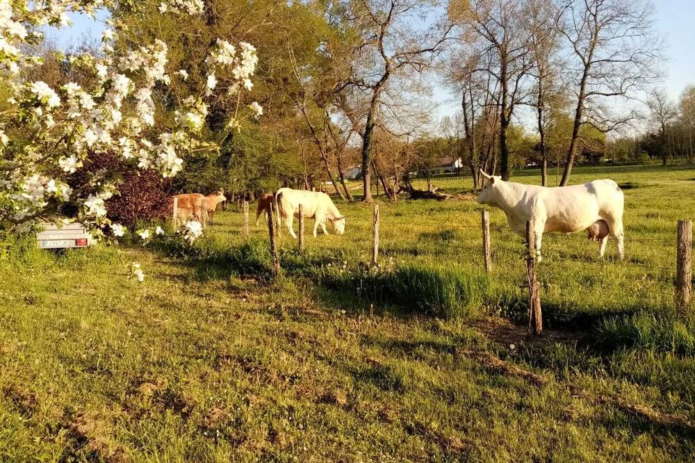 Photo of Outdoor in Sauternes