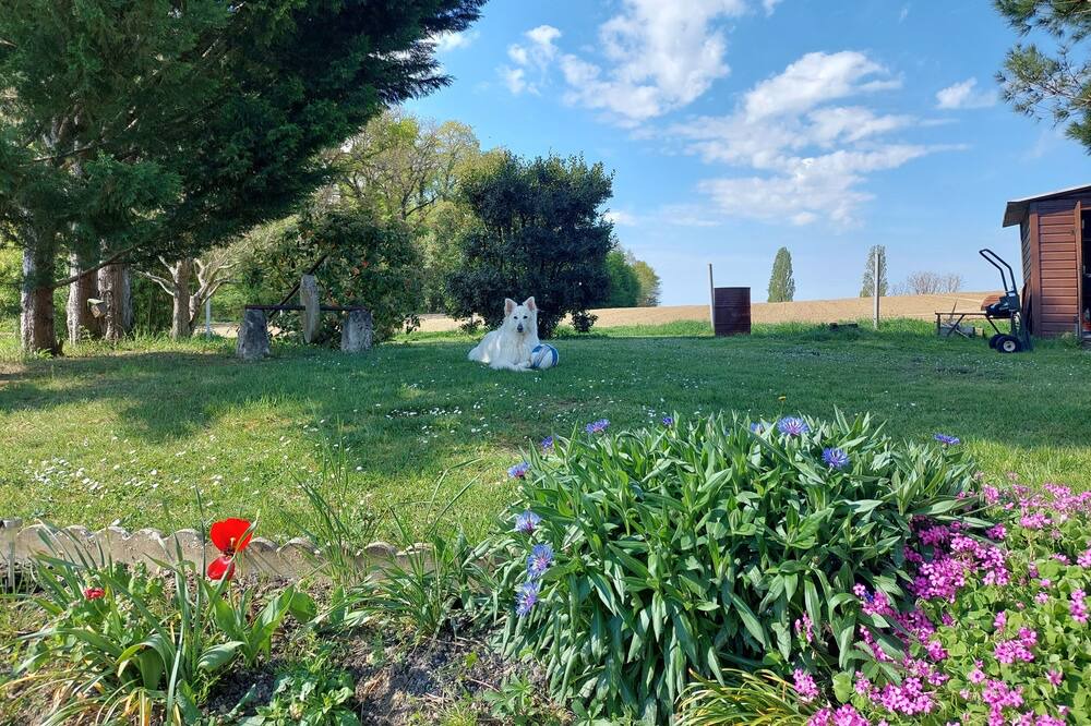 Photo of Outdoor in Saint-Colomb-de-Lauzun