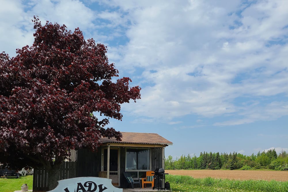 Photo of Outdoor in Gaspereaux