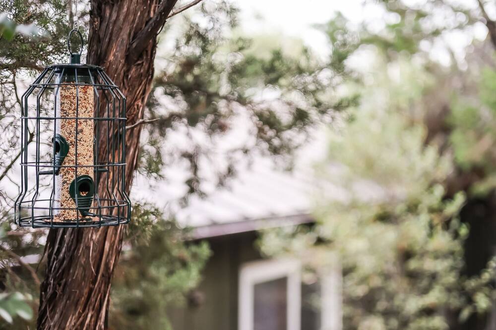 Photo of Outdoor in Leander