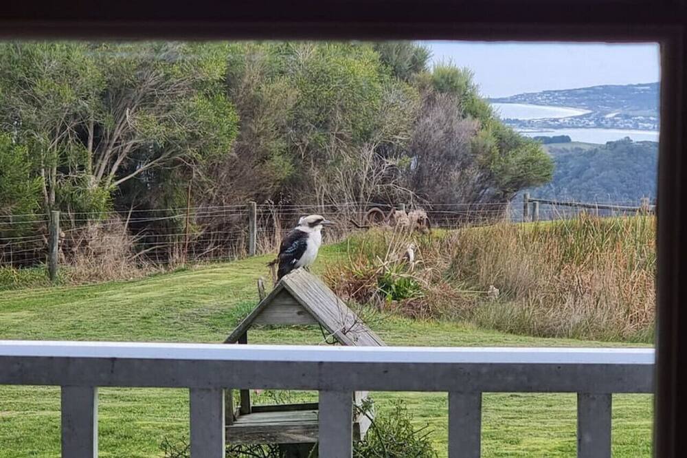 Photo of Others in Skenes Creek North