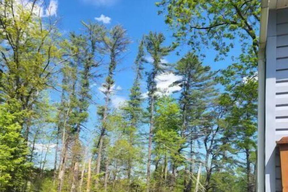 Photo of Outdoor in Kerhonkson