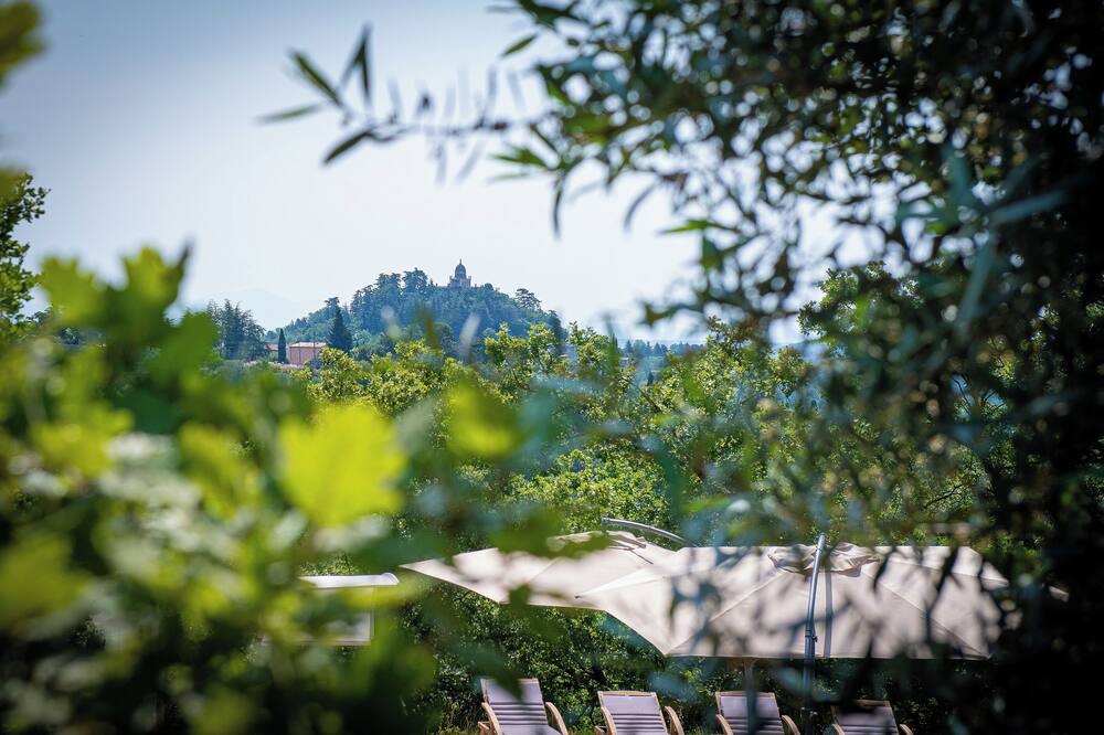 Photo of Others in Forcalquier