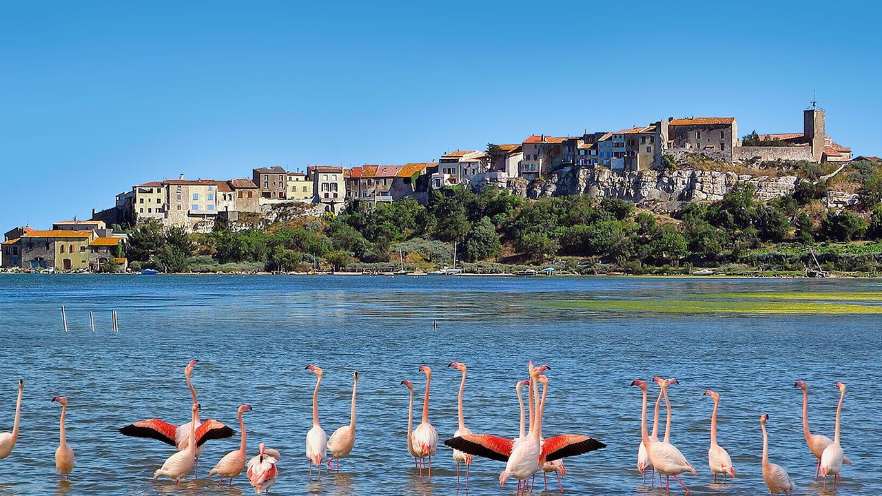 Photo of Others in Bages