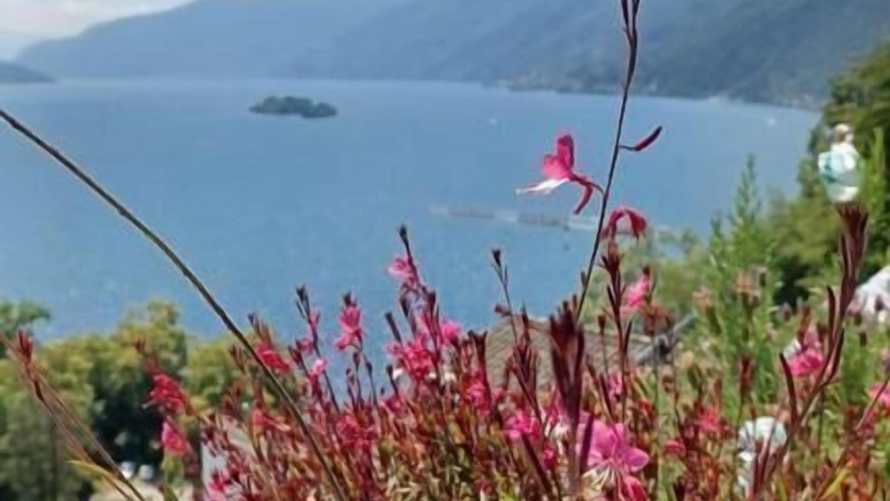 Photo of Outdoor in Ascona