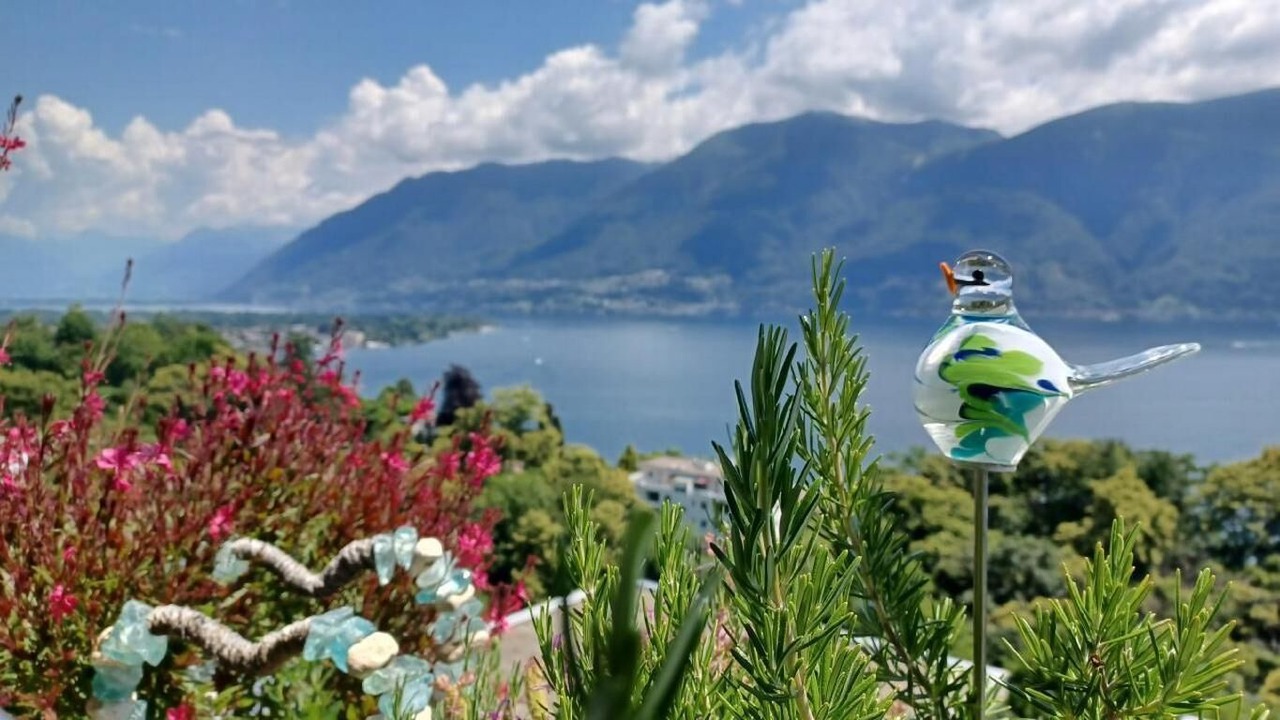 Photo of Outdoor in Ascona