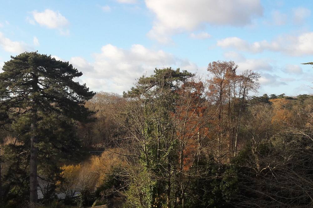 Photo of Outdoor in Tortiere