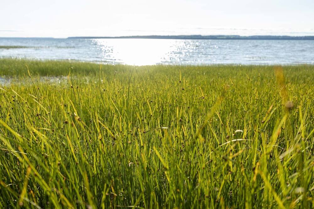 Photo of Outdoor in Lotbiniere Regional County Municipality
