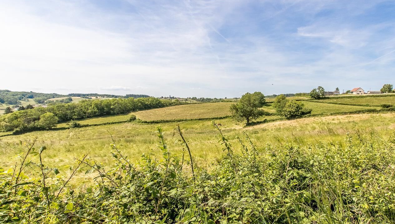 Photo of Others in Uxeau