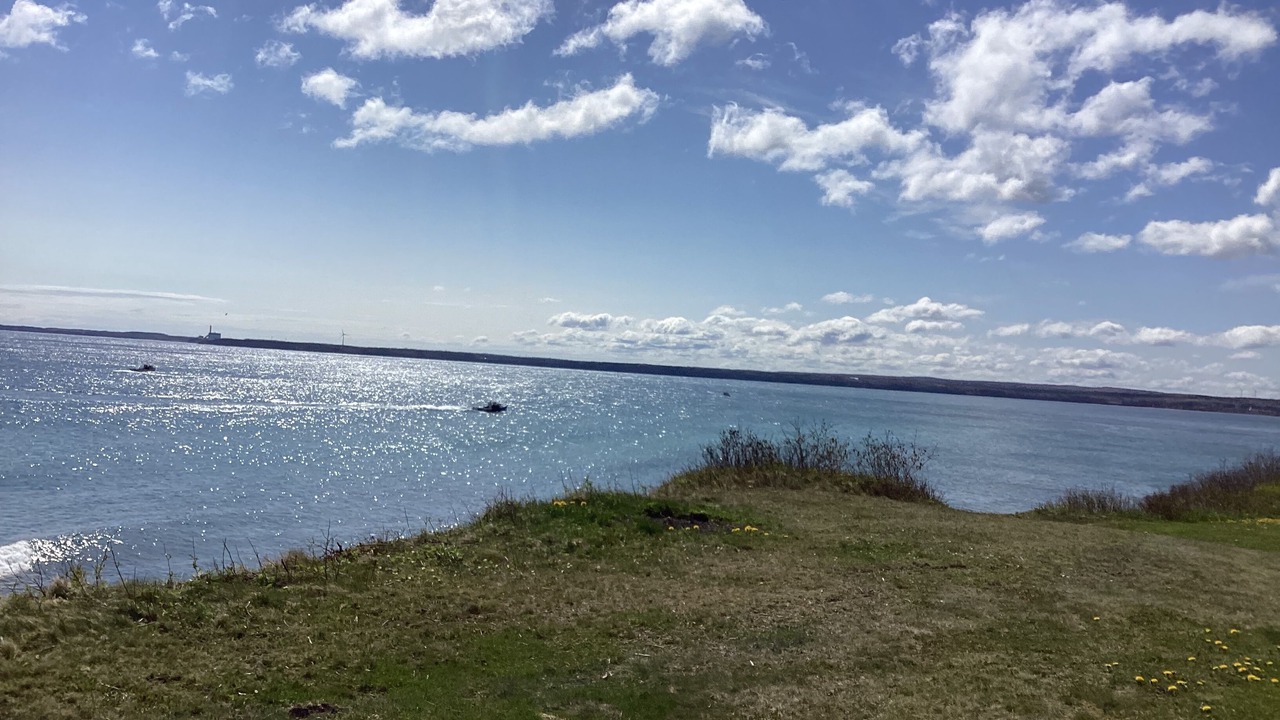 Photo of Others in Cape Dauphin