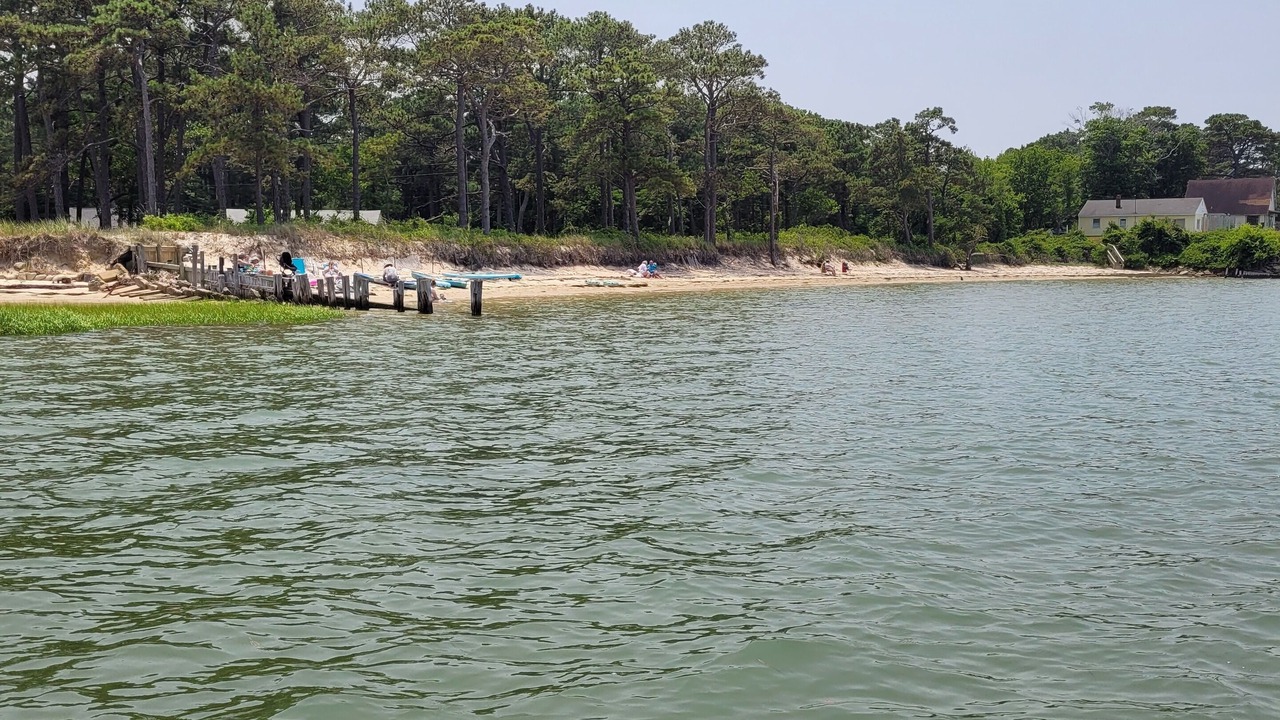 Photo of Others in Cape Charles