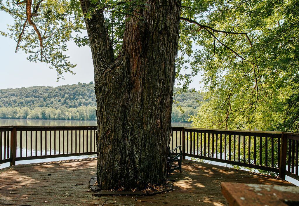 Photo of Outdoor in Northumberland