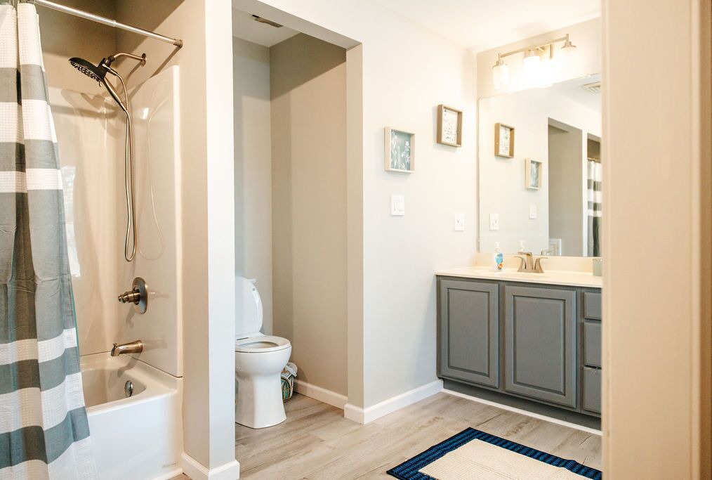 Photo of Others in Northumberland