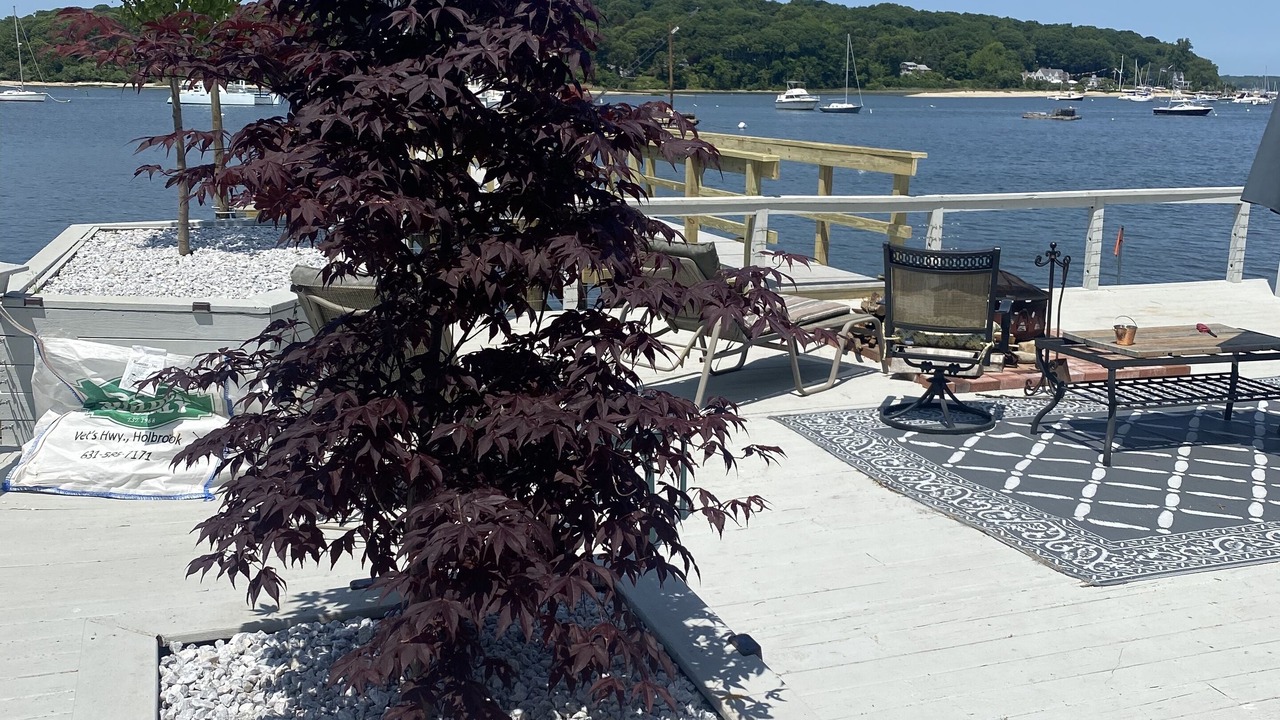 Photo of Buildings in Northport