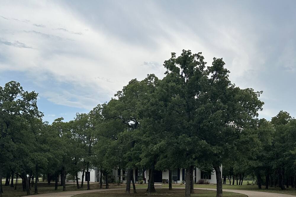 Photo of Others in Bowie