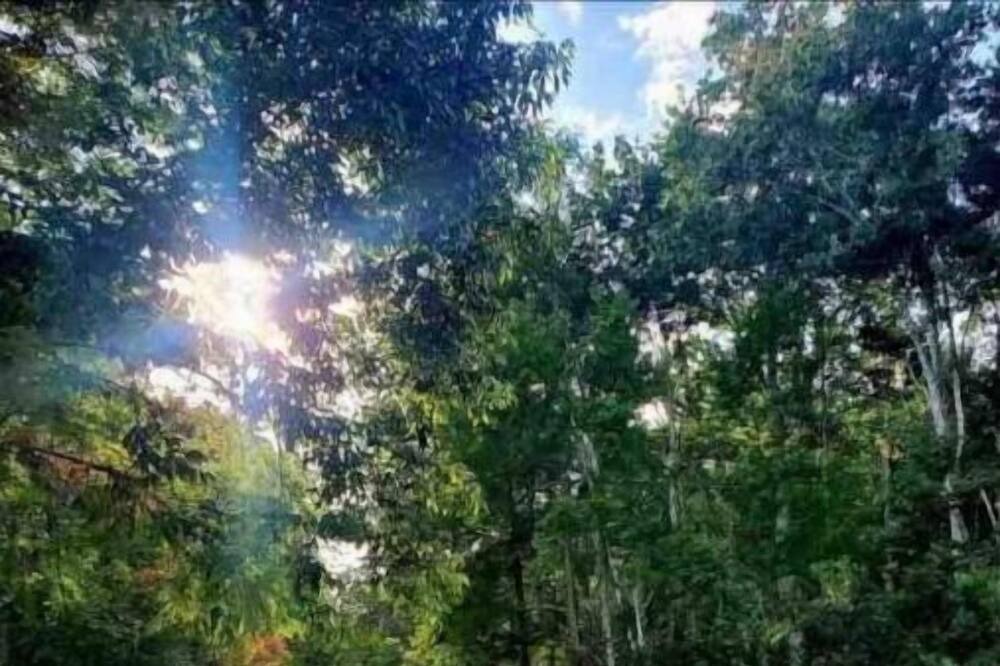 Photo of Outdoor in Weeki Wachee Gardens