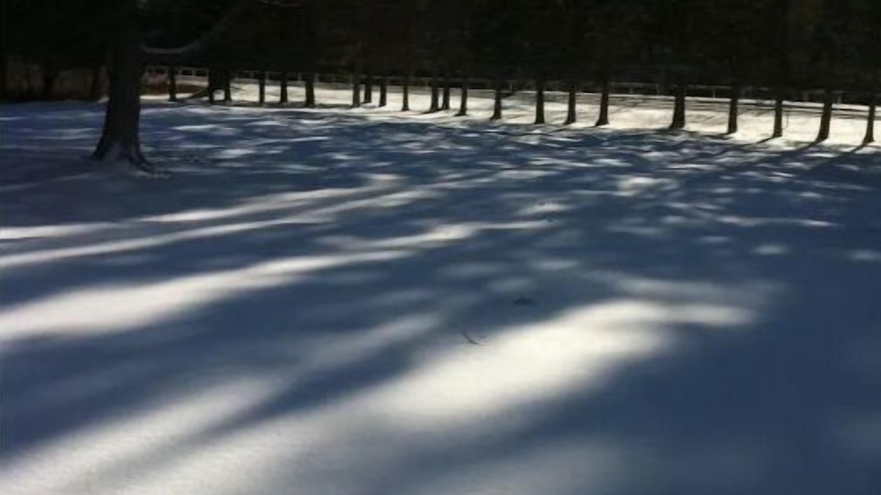 Photo of Others in Cold Brook