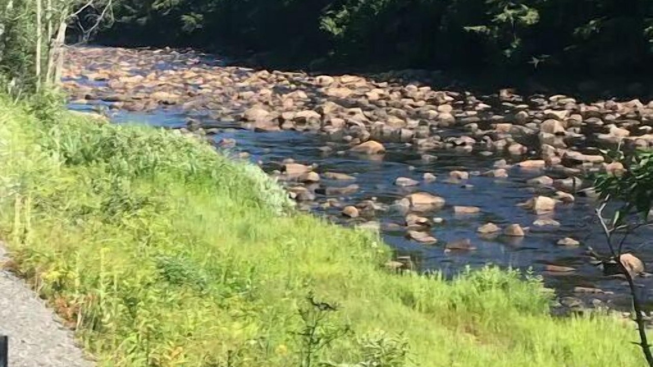 Photo of Outdoor in Cold Brook