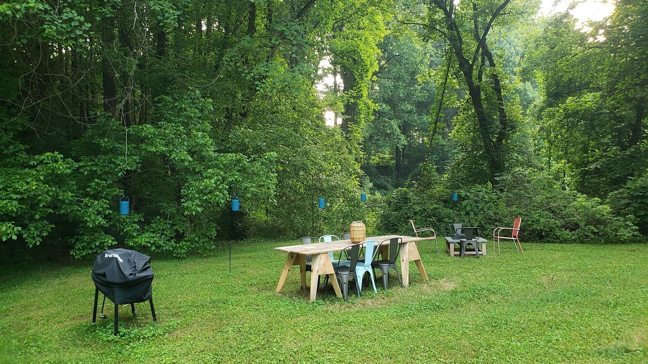 Photo of Outdoor in Jonesville