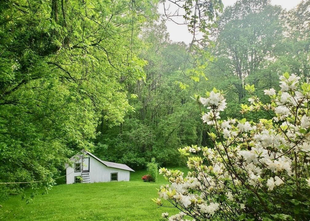 Photo of Outdoor in Jonesville