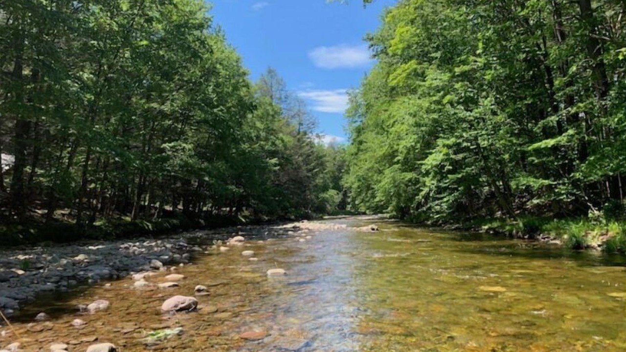 Photo of Others in Claryville