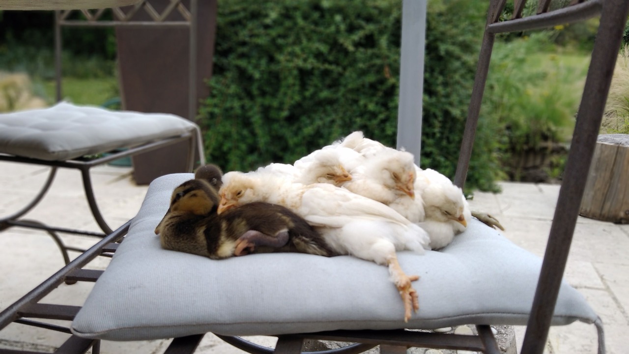 Photo of Outdoor in Graveson