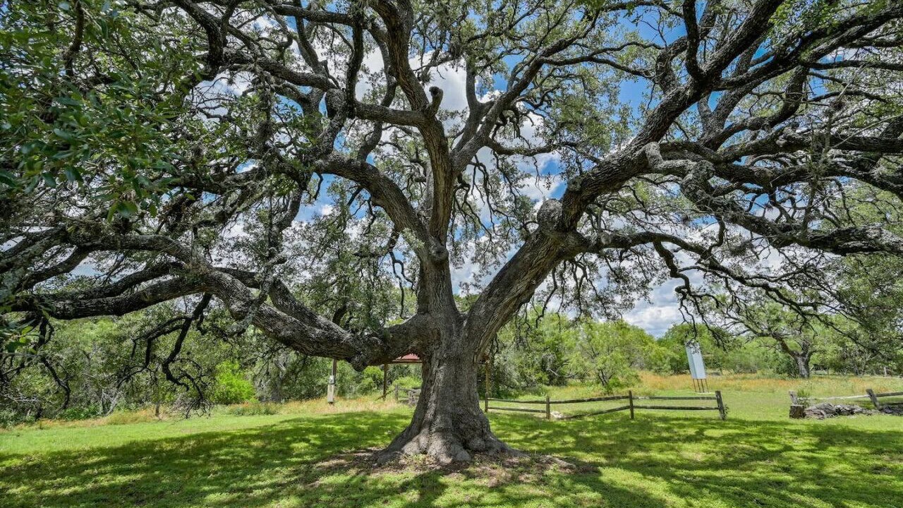 Photo of Others in Marble Falls